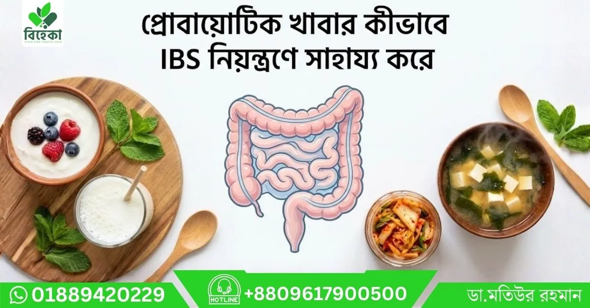 প্রোবায়োটিক-খাবার-কীভাবে-IBS-নিয়ন্ত্রণে-সাহায্য-করে.webp